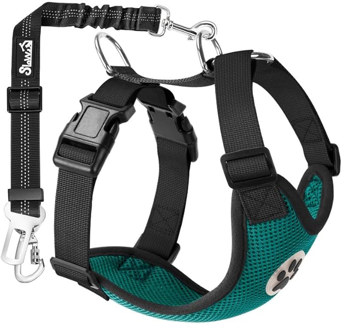SlowTon Dog Seat Belt Harness for Car, Dog Car Harness Adjustable Mesh Breathable & Dog Seatbelt Safety Tether with Elastic Bungee for Small Medium Large Pets(Green, Double Clip, M)-Mewly Pet