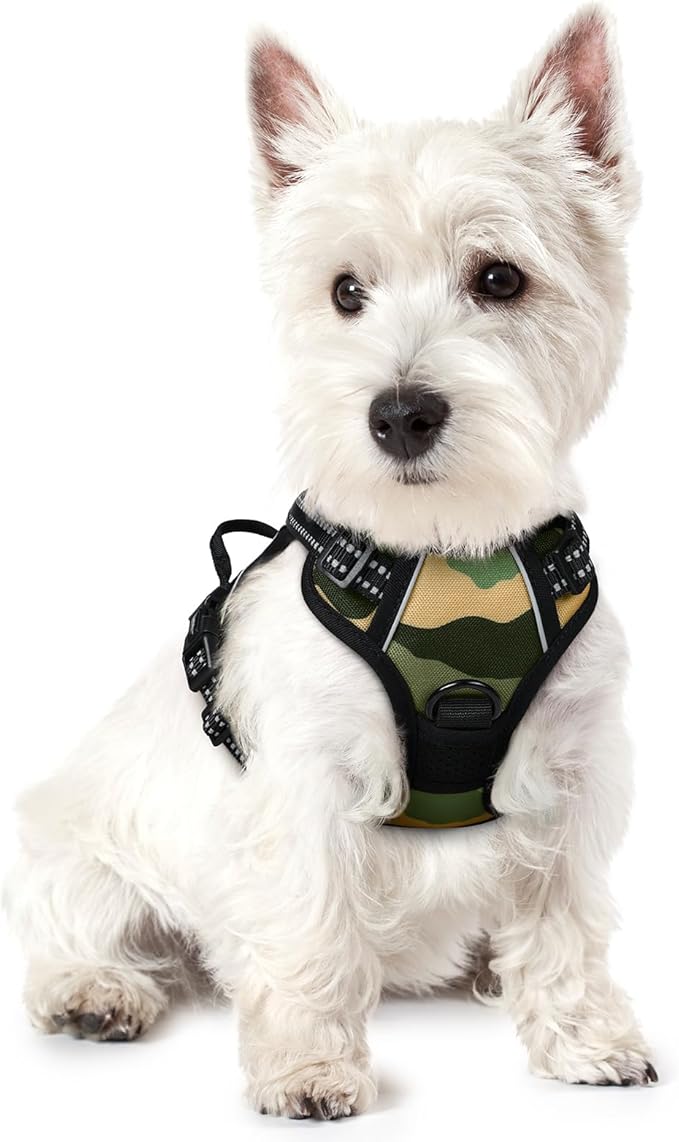 rabbitgoo Dog Harness No Pull with 2 Leash Clips, Adjustable Soft Padded, Reflective Oxford No Choke Pet Vest with Easy Control Handle for Large Dogs, Green Mountain,XS-Mewly Pet