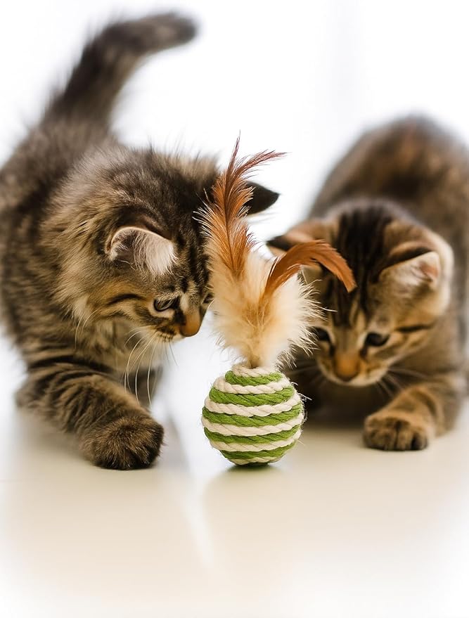 Ball for cat with Feathers - Balls for Cats– Natural Toy for Indoor Cats – Eco-Friendly, Durable, Interactive Play Balls for Kittens – Pet-Safe Chew & Scratch Toys (Green)-Mewly Pet