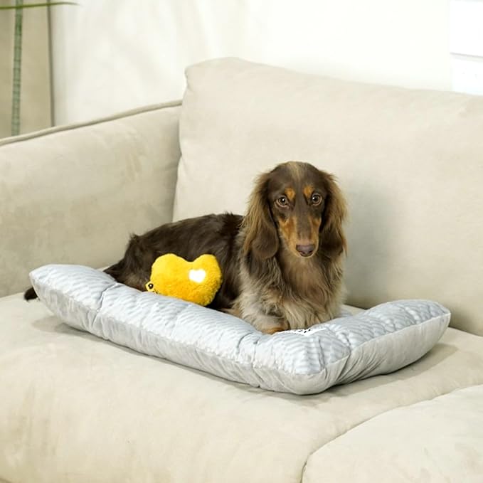 FUNNY FUZZY 2 in 1 Dog Bed Crate Pad Mat, Washable Reversible Floor Pet Mats,Fluffy Kennel Pad for Small Large Sized Dog,Indoor Cats,Sleeping Mattress, 23.6" × 17.9", Light Grey-Mewly Pet