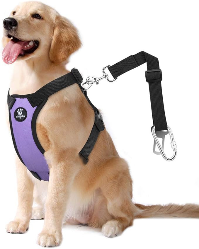 Dog Seat Belt, Safety Vest Dog Car Harness with Adjustable Buckle Dog Seat Belt for Vehicle Nylon Pet Safety Seat Belts Heavy Duty(XL, Purple)-Mewly Pet