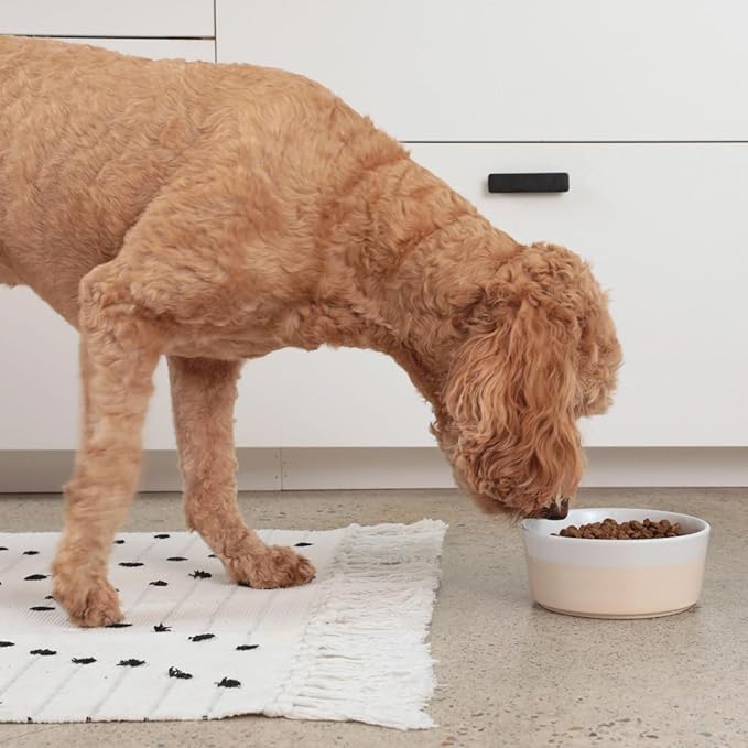 Waggo Dipper Ceramic Dog Bowl for Small and Large Breeds - Heavyweight and Durable Pet Food and Water Dish Crock, Dishwasher Safe, Modern (Small, Buttercream)-Mewly Pet