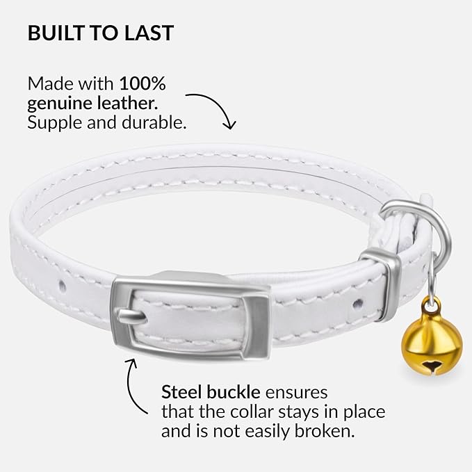 CollarDirect Leather Cat Collar with Bell - Kitten Collar, Small and Big Cat Collar for Boy Cats, Girl Cats with Safety Elastic Strap (Neck Fit 6"-7", White)-Mewly Pet