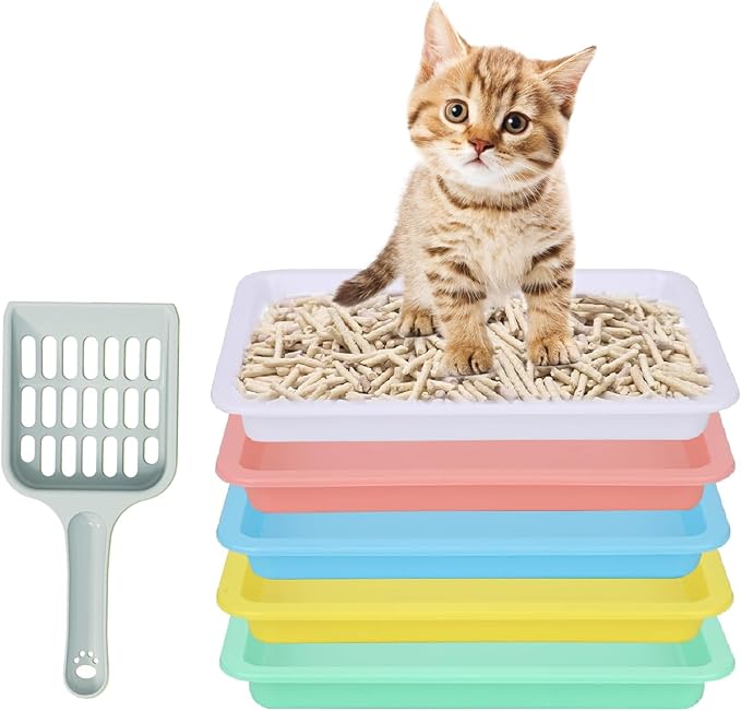 5pcs Kitten Litter Box, Small Cat Litter Box with Scooper, Small Litter Pan Low Entry Shallow Plastic Litter Tray Portable Cat Waste Tray Open Travel Kitten Boxes for Small Pet Rabbit Newborn Cat-Mewly Pet