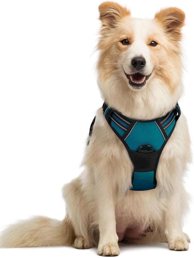 rabbitgoo Dog Harness No Pull with 2 Leash Clips, Adjustable Soft Padded, Reflective Oxford No Choke Pet Vest with Easy Control Handle for Medium Sized Dogs, Blue Coral, M-Mewly Pet