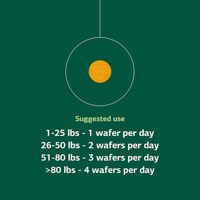 Standard Process Inc. Canine Flex Support - Joint & Immune Health Supplement for Dogs - Chewable Wafers for Healthy Joint Function Support - Nutritional Whole-Food Based Supplement - 100 wafers-Mewly Pet
