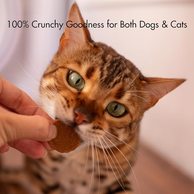 Silver Carp Chips Dog & Cat Treats | Single Ingredient | Wild Caught | Made w/Invasive Fish | Grain Free | High Protein + Low Fat | Hypoallergenic | Compostable Packaging | Made in The USA-Mewly Pet