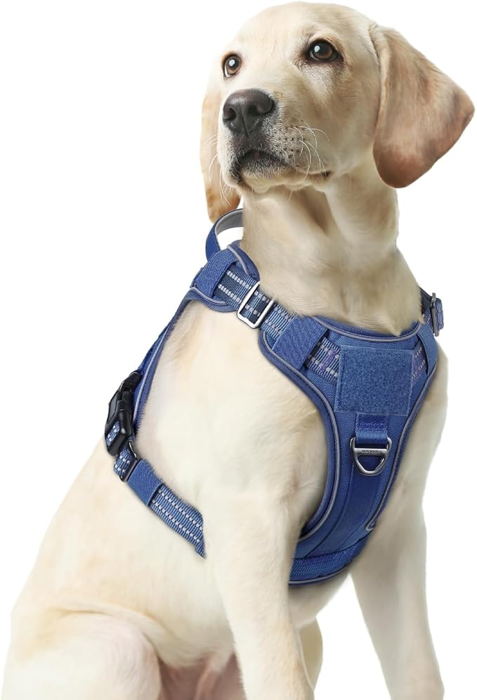 rabbitgoo Dog Harness Medium Sized No Pull, Tactical Service Pet Vest with Molle and Control Handle, Adjustable and Reflective Military Harness for Easy Walking and Training, Blue, M-Mewly Pet