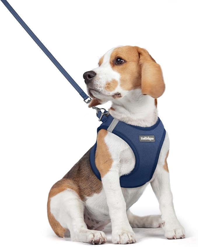 rabbitgoo Dog Harness Small Medium Sized and Leash Set, Step in Soft Light Puppy Vest, Breathable Mesh Pet Harness, Reflective for Safe Outdoor Walking, Navy Blue L-Mewly Pet