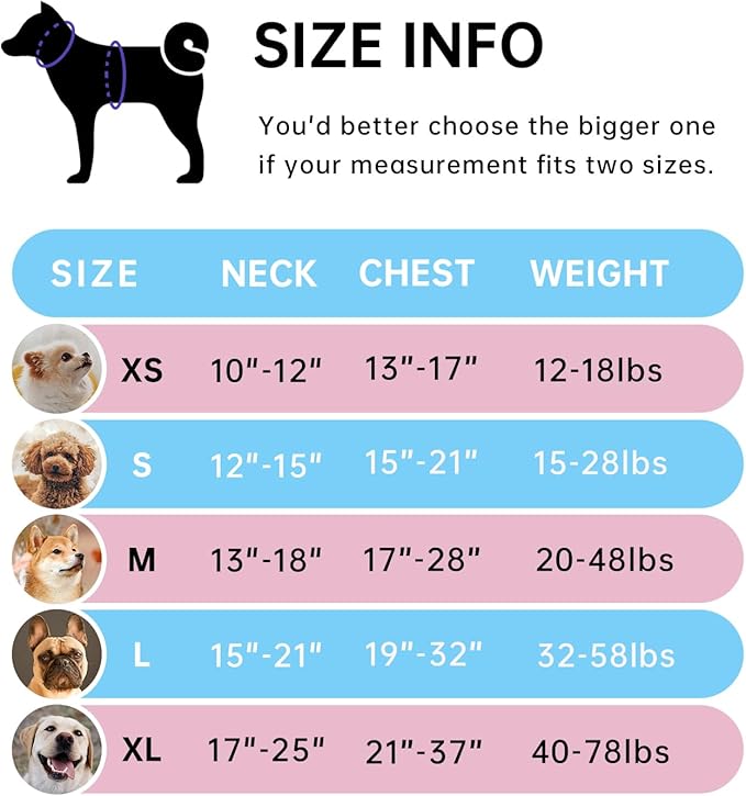 IVY&LANE No Pull Dog Harness for Large Dogs, Dog Vest Harness with Leash, Safety Belt and Storage Strap, Fully Adjustable Harness, 360° Reflective Strip, Soft Handle (Blue, L)-Mewly Pet