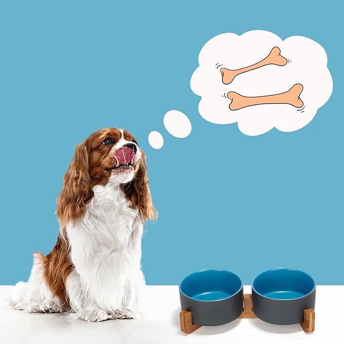 SPUNKYJUNKY Ceramic Dog and Cat Bowl Set with Wooden Stand, Modern Cute Weighted Food Water Set for Small Size Dogs (13.5OZ) & Medium Sized Dogs (28.7OZ) & Cats (3.6 Cups, 2 × Blue-Grey)-Mewly Pet