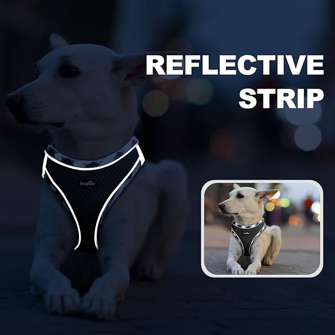 haapaw Dog Harness with Leash Set, No Pull Adjustable Reflective Step-in Puppy Harness with Thickened Padded Vest for Extra-Small/Small Medium Dogs-Mewly Pet