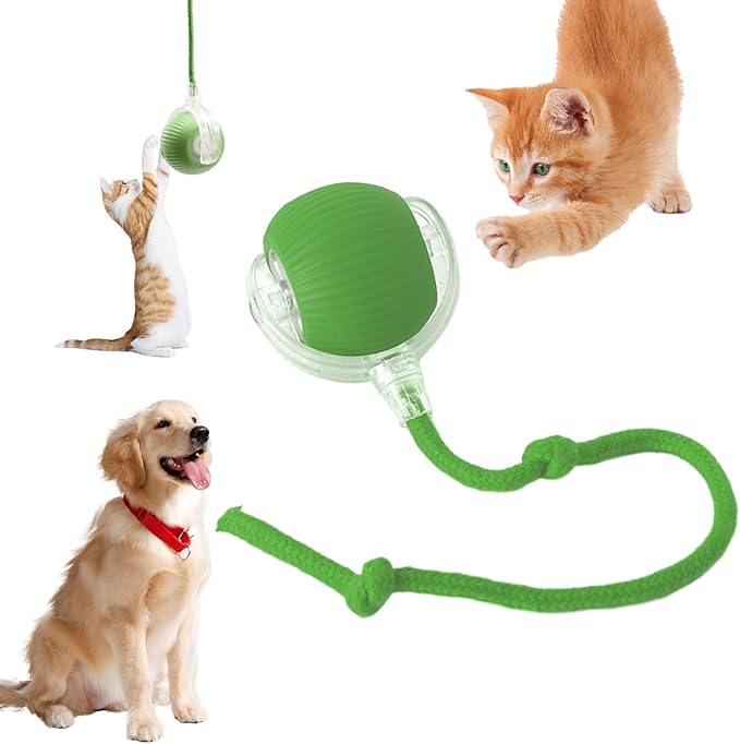 Chewie Viral Rolling Ball, Interactive Cat Toys Ball for Indoor, Cats Interactive Self Rolling Ball Dog Ball Automatic Cat Toy 360° Smart Automatic Rolling Pet Ball (Green)-Mewly Pet