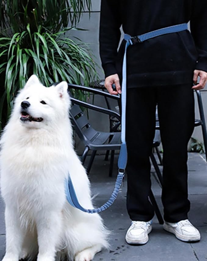 Hands Free Dog Leash for Large Medium Dogs Heavy Duty Bungee Reflective Adjustable Waist Leashes for Walking Running with Car Buckle 4-6FT (Blue)-Mewly Pet