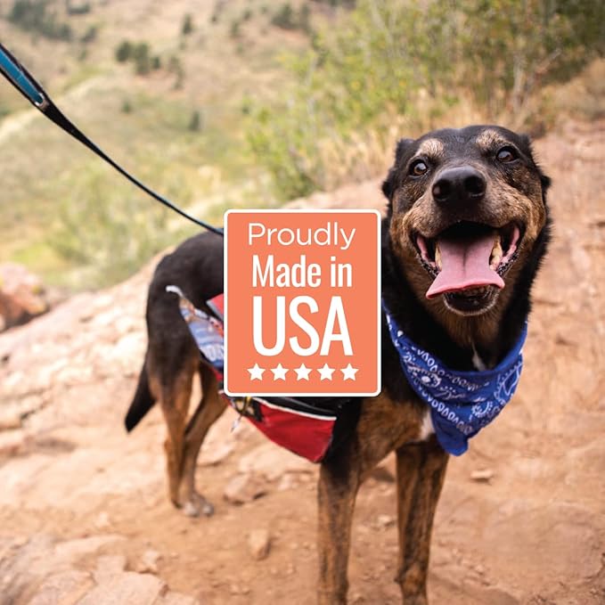 Smart Cookie All Natural Dog Treats - Shrimp & Coconut - Training Treats for Dogs with Allergies, Sensitive Stomachs - Soft Dog Treats, Chewy, Grain Free, Human-Grade, Made in USA - 5oz, Pack of 3-Mewly Pet