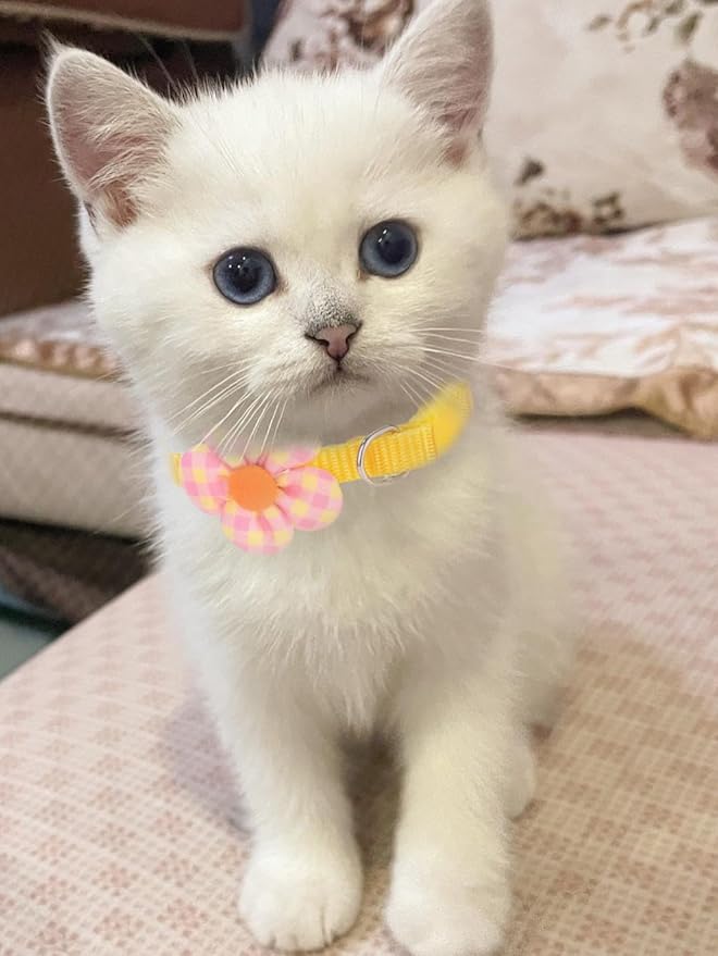 16 PCS Cute Cat Collars Breakaway with Bell for Boy Cats and Girl Cats Gifts (#5-Multicolor Plaid)-Mewly Pet