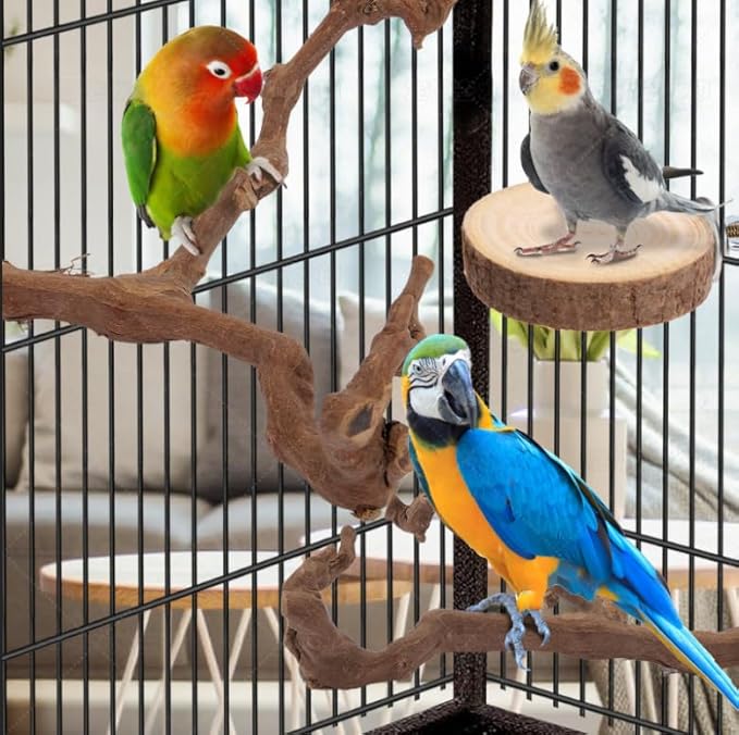 Parrot Perch Bird Perch Stand Set Natural Wild Wood Grape Sticks Paw Grinding Fork Parakeet Climbing Standing Branches Toys Cage Accessories for Conure,Cockatiels Lovebirds,Budgies Chewable 6PC-Mewly Pet