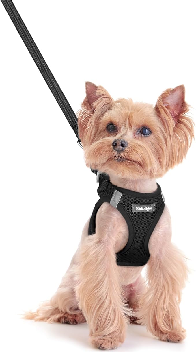 rabbitgoo Dog Harness Small Sized and Leash Set, Step in Soft Light Puppy Vest, Breathable Mesh Pet Harness, Reflective for Safe Easy Walking, Black XXS-Mewly Pet