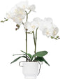 CXGS Orchids Artificial Flowers Real Touch Fake Flowers in Ceramic Pot 20" White Faux Orchid Plant Lifelike Silk Phalaenopsis for Centerpiece Hotel Home Indoor Decor