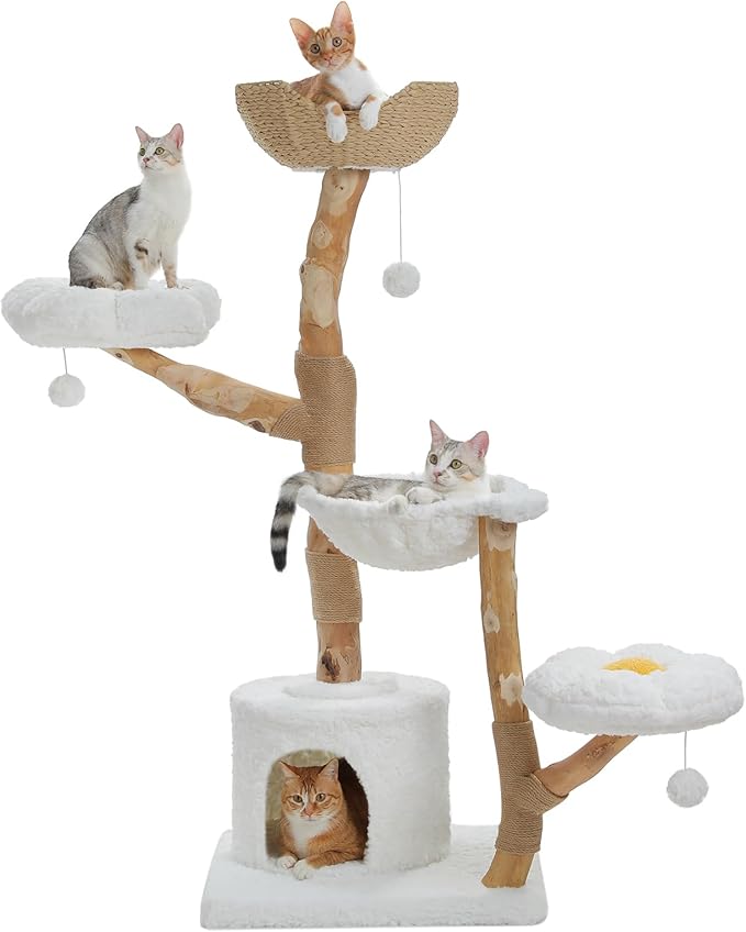 PAWZ Road Cat Tree for Indoor Cats Large Adults, 59 Inches Modern Cat Tower with Large Basket and Hammock, Natural Solid Wood, Luxury Condo & Dual Perches, Modern Cat Furniture for Big Cats, White-Mewly Pet