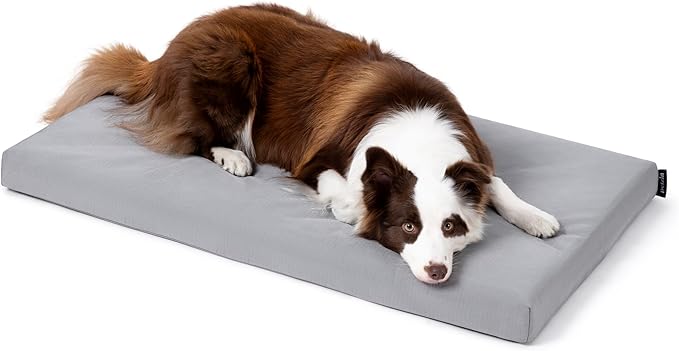 Cybarmour Indestructible Dog Bed - Outdoor Waterproof Chew Proof Dog Crate Pad - Orthopedic Kennel Mat for Aggressive Chewers - Large Breeds & Fits 36-Inch Crate - 35"x22", Limestone-Mewly Pet