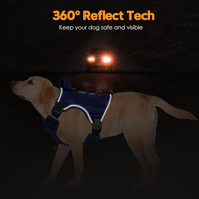 Heavy-Duty Tactical Dog Harness for Large Dogs, No Pull Adjustable Reflective Pet Vest with Molle System, K9 Military-Grade Control for Service Training, Outdoor & 10+ Breeds, Dazzling Blue, Small-Mewly Pet