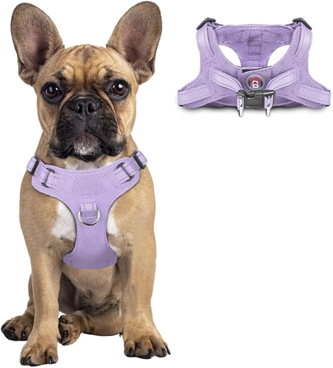 Dog Harness Step in Dog Vest Harness, Reflective Adjustable Puppy No Pull Harness Breathable Soft for Small and Medium Dogs Cats, Violet Purple, S-Mewly Pet
