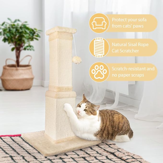 AGYM Cat Scratching Post, 32 Inch Cat Scratching Post for Large Cats, Scratching Posts for Indoor Cats Adults, Cat Scratch Post with Nature Sisal, Beige-Mewly Pet