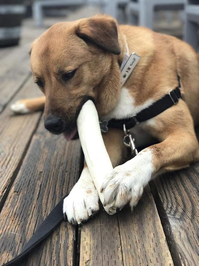 Brazilian Pet Premium Retriever Rolls 10-11 inches (10 Pack),100% Natural Dog Treat Chew. No Artificial Preservatives-Mewly Pet