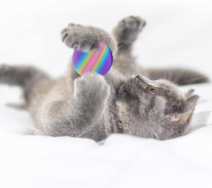 BLMHTWO 12PCS Rainbow Cat Toys, EVA Foam Balls 1.65inch Lightweight Colorful Interactive Pet Balls for Cats, Kittens, Puppy (6 Colors)-Mewly Pet