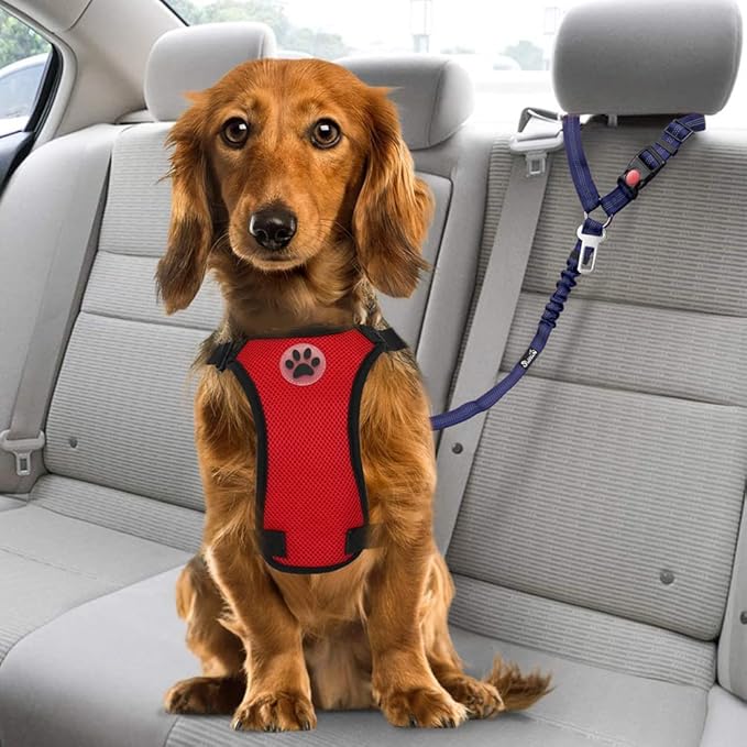 SlowTon Dog Seat Belt for Car, 2 Pack Dog Car Harness Seatbelt Adjustable with Elastic Bungee Buffer, 2 in 1 Pet Car Leash Headrest Restraint Dog Reflective Safety Tether (Blue, Headrest+Clip)-Mewly Pet