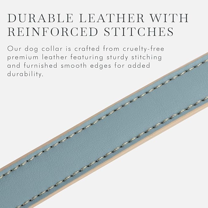 Cupertino Dog Collars, Harnesses & Leashes Made from Vegan Leather with Dog Tracker Device Holder Adjustable Dog Collar - Color Blue, Large-Mewly Pet