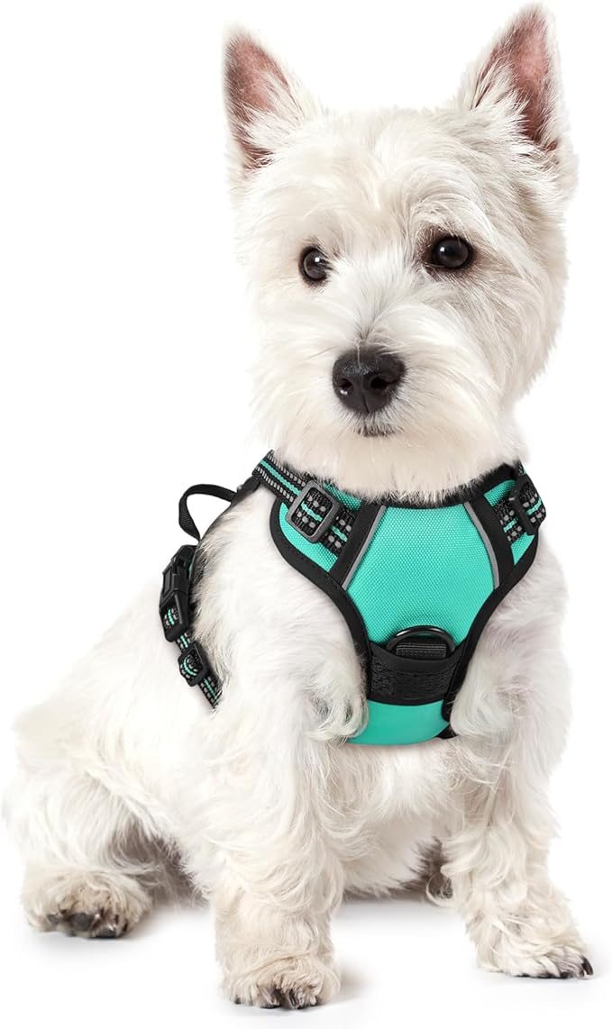 rabbitgoo Dog Harness No Pull with 2 Leash Clips, Adjustable Soft Padded, Reflective Oxford No Choke Pet Vest with Easy Control Handle for Puppy, Turquoise, XS-Mewly Pet