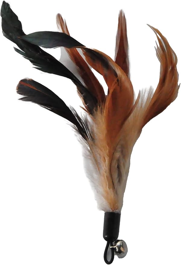 Cat Toys - No Chemical Dyeing Cat Feather Toys for Indoor Cats - Include Cat Wand and Natural Feather Refills-Mewly Pet