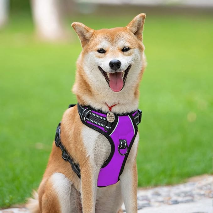 PoyPet No Pull Dog Harness, Reflective Comfortable Vest Harness with Front & Back 2 Leash Attachments and Easy Control Handle Adjustable Soft Padded Pet Vest for Small to Large Dogs (Purple,XL)-Mewly Pet