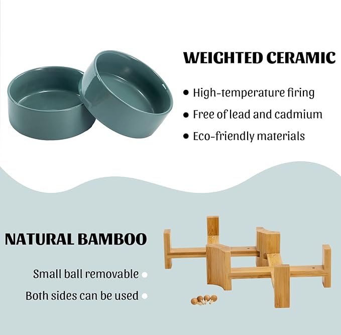 SPUNKYJUNKY 15° Slanted Ceramic Dog and Cat Bowl with Wooden Stand, Tilted Bulldog Food and Water Bowl No Slip Non-Spill for Cats Medium Dogs Big Face Pets 28.7 OZ (3.6 Cups, Light Green × 2)-Mewly Pet