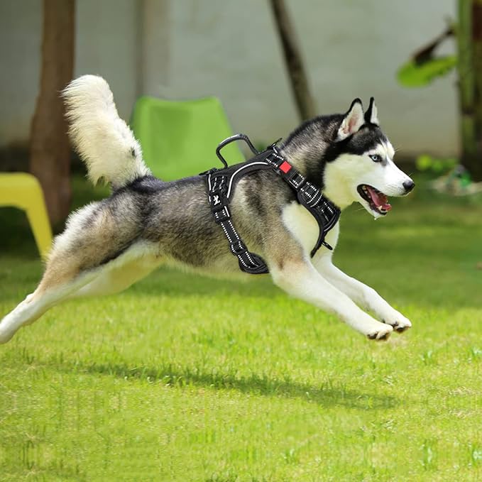 PoyPet No Pull Dog Harness, No Choke Front Clip Reflective Dog Vest with Soft Padded Vertical Handle, 3 Leash Attachments for Small Medium Large Dogs (Black,XL)-Mewly Pet