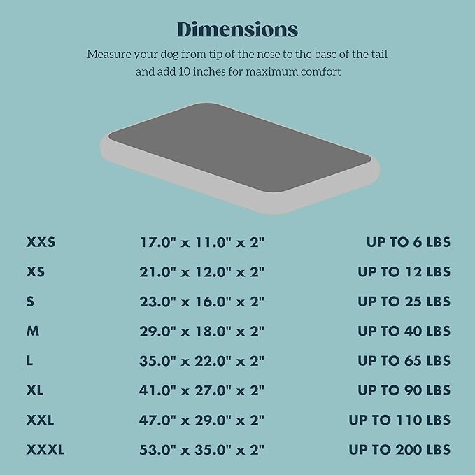Stoutwool Indestructible Dog Bed - Fluffy Chew Proof Dog Crate Pad - Tough Kennel Pad for Aggressive Chewers - Ideal for Extra Small Breeds & Fits 22-Inch Crate - 21"x12", Charcoal-Mewly Pet
