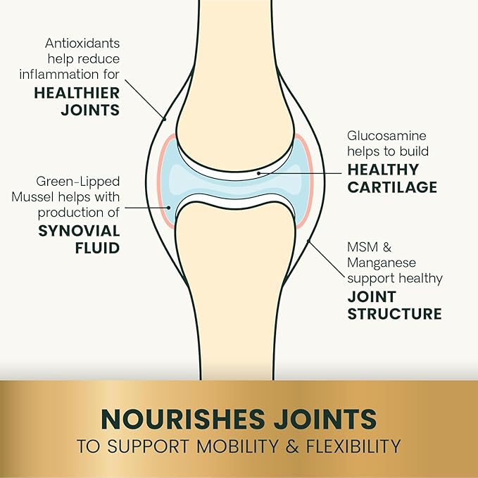 VetriScience Ultimate Strength Healthy Hip & Joint Chews, GlycoFlex Glucosamine, Chondroitin and Green-Lipped Mussel Joint Support Supplement for Dogs, Soothe Joint Discomfort, Duck, 60 Count-Mewly Pet