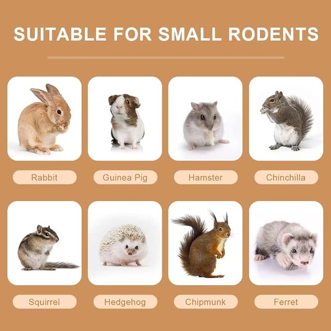 300g Guinea Pig & Rabbit Chew Toys with Apple & Timothy Sticks - Prevent Overgrown Teeth with Sweet Bamboo Treats - Ideal Rabbit Treats Included!-Mewly Pet