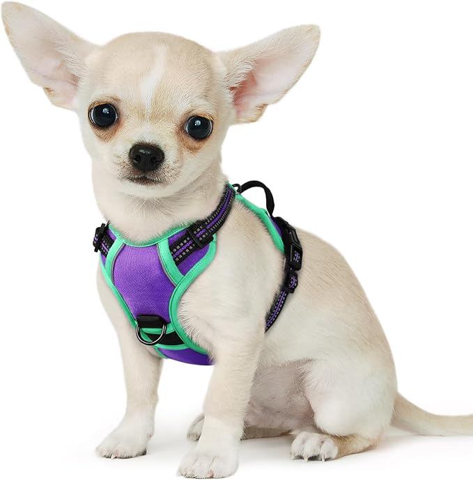 Eagloo Small Dog Harness No Pull, Service Vest with Reflective Strips and Control Handle, Adjustable and Comfortable for Walking, No Choke Pet Harness with 2 Metal Rings, Purple & Green, XS-Mewly Pet