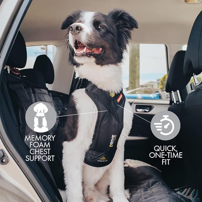 EzyDog Drive Dog Car Harness – Crash Tested and Certified (US-FMVSS 213) Dog Seat Belt Harness for Safe Travel, Adjustable with Padded Comfort (Small)-Mewly Pet