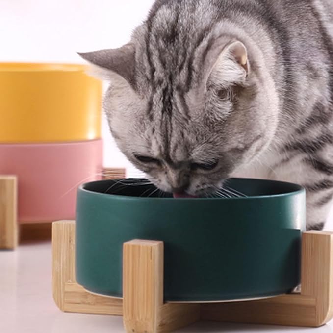 Petygooing Dog Bowls,Green Ceramic Cat Dog Bowl Set with Stand for Food and Water Feeder,Non-Slip Cute Modern Pet Dishes for Cats Small Size Dogs Puppy (13.5OZ/5.1 in)-Mewly Pet