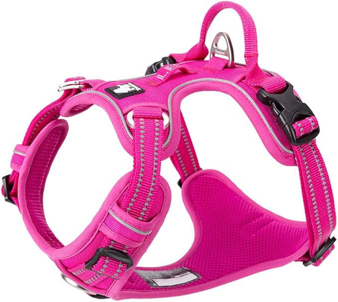TRUE LOVE Dog Harness No Pull Nylon Reflective Pet Harness Adjustable Comfortable Control Step-in Brilliant Colors Truelove TLH56512 XS Fuchsia-Mewly Pet