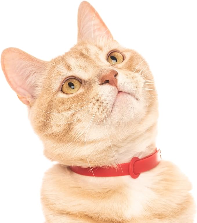 5 Pack Breakaway Cat Collar - Soft, Comfortable, and Lightweight Safety Buckle Collar with ID Tag Ring for Outdoor Cats and Kittens by Nuvuq (6 ⅞" to 10 ¼", Red, Orange, Pink, Blue and Black)-Mewly Pet