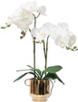 CXGS Orchids Artificial Flowers Real Touch Fake Flowers in Ceramic Pot 20" White Faux Orchid Plant Lifelike Silk Phalaenopsis for Centerpiece Hotel Home Indoor Decor