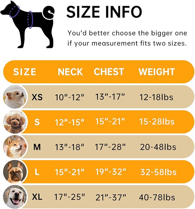 IVY&LANE No Pull Dog Harness for Large Dogs, Dog Vest Harness with Leash, Safety Belt and Storage Strap, Fully Adjustable Harness, 360° Reflective Strip, Soft Handle (Orange,X-Large)-Mewly Pet