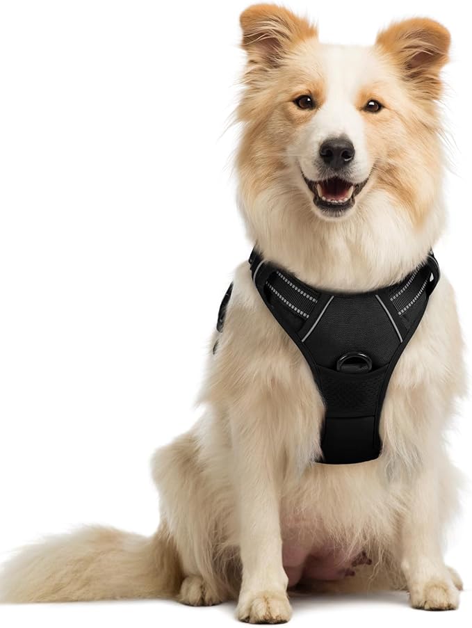 rabbitgoo Dog Harness No Pull with 2 Leash Clips, Adjustable Soft Padded, Reflective Oxford No Choke Pet Vest with Easy Control Handle for Medium Sized Dogs, Black, M-Mewly Pet