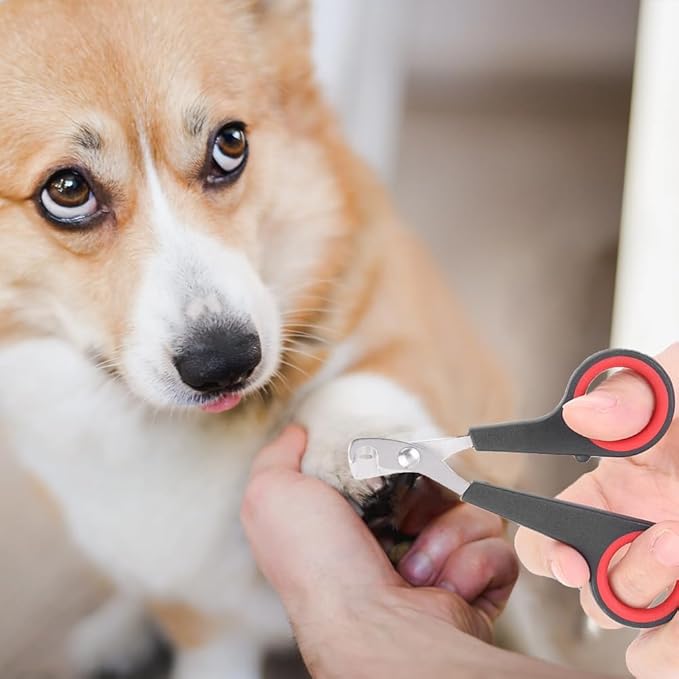 Cat Nail Clipper, Cat Nail Trimmers Cat Claw Clippers Small Dog Nail Clippers Bird Nail Scissors Stainless Steel Parrot Cage Essential Grooming Accessory for Small Animals Ferrets Bunny Rabbit Puppy-Mewly Pet