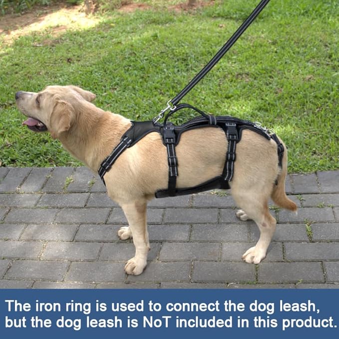 Coodeo Dog Lift Harness, Support & Recovery Sling, Pet Rehabilitation Lifts Vest Adjustable Breathable Straps for Old, Disabled, Joint Injuries, Arthritis, Paralysis Dogs Walk (Black,L)-Mewly Pet